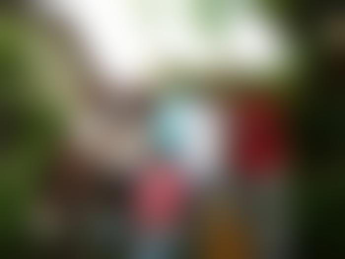 Photo 3 — 2014