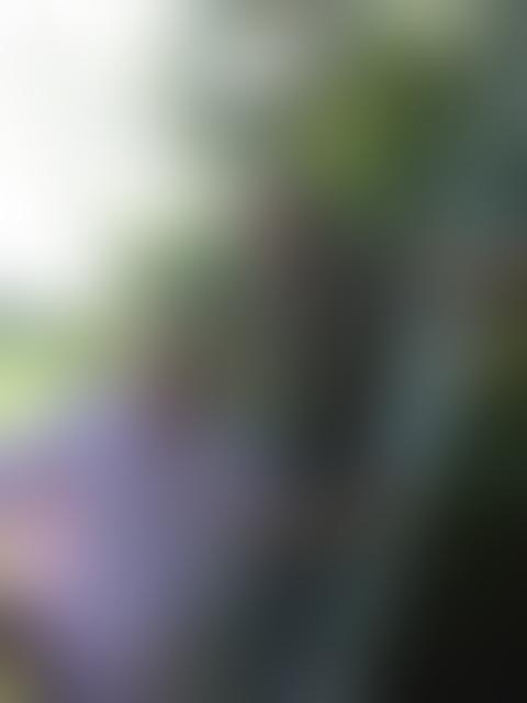 Photo 7 — 2016
