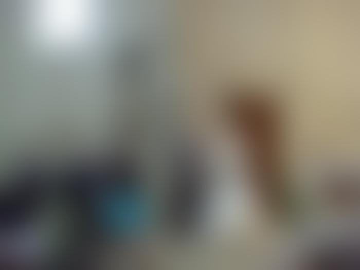 Photo 9 — 2017