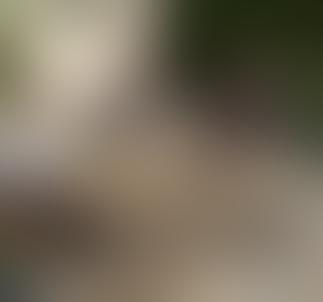 Photo 10 — 2021